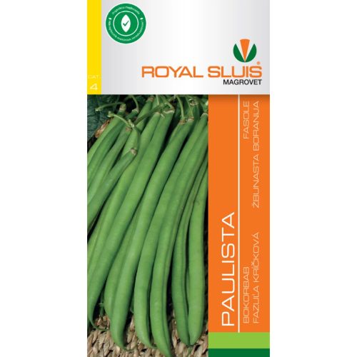 Seed Royal IV. categoria Fasole/ Paulista