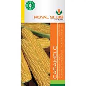 Seed Royal IV. categoria Porumb/ Caramel