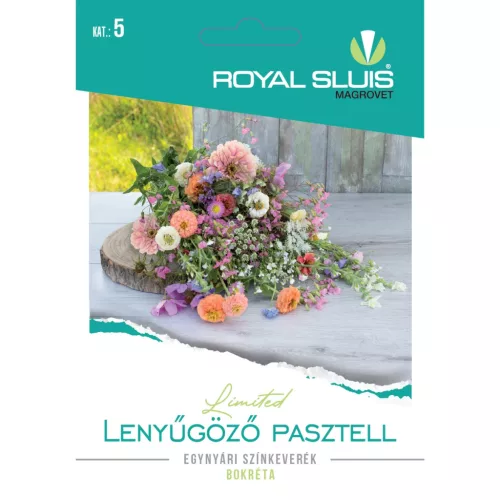 Seed Royal Premium Categoria a 5-a Amestec anual de culori/Pastel impresionant