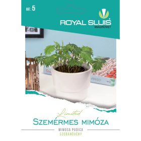   Seed Royal Premium Categoria a 5-a Plantă ornamentală cu frunze/ Mimoza fără rușine-Mimosa Pudica