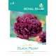 Seed Royal Premium Categoria 6 Decoratiuni/ Bujor negru