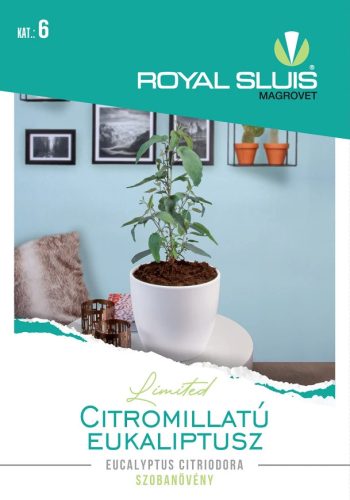 Vetőmag Royal Prémium 6. kategória Levél dísznövény/ Citromillatú Eukaliptusz-Eucaliptus Citreiodora