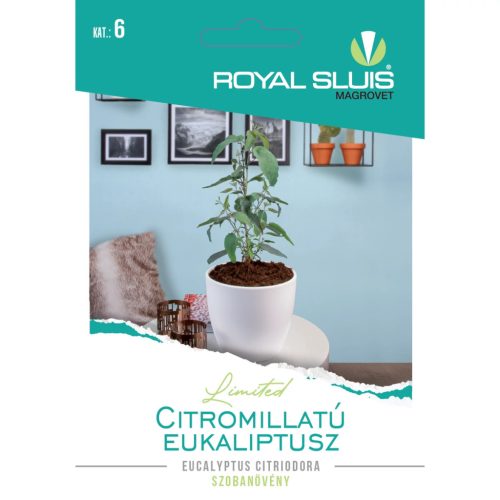 Seed Royal Premium Categoria a 6-a Plantă ornamentală cu frunze/ Eucalipt cu miros de lămâie-Eucaliptus Citreiodora