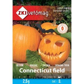 Seed ZKI categoria 3 Decoratiuni/ Camp Connecticut
