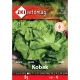 Saatgut ZKI Kategorie 4 Kopfsalat/ Kolben