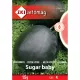 Saatgut ZKI Kategorie 4 Wassermelone/Zuckerbaby