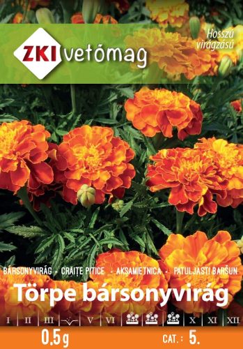 Vetőmag ZKI 5. kategória Bársonyvirág Törpe Bársonyvirág