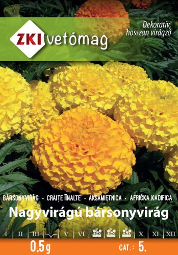 Vetőmag ZKI 5. kategória Bársonyvirág Nagyvirágú bársonyvirág