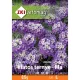 Saatgut ZKI Kategorie 5 Duftend ternye-violett