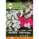 Saatgut ZKI Kategorie 5 Petunnia-Sockenblume