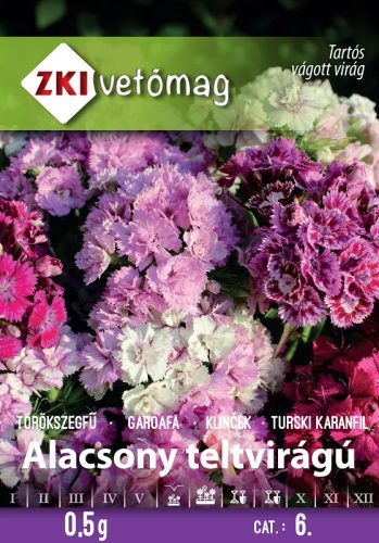 Vetőmag ZKI 6. kategória Törökszegfű Alacsony teltvirágú