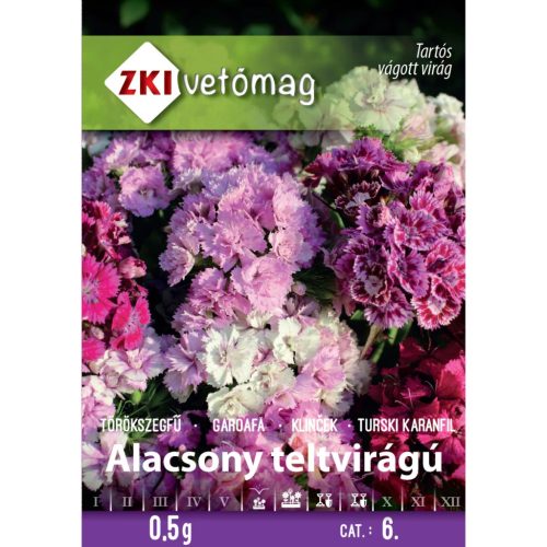 Sămânță ZKI categoria 6 Garoafa Turcă Scăzută cu flori pline