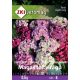 Sămânță ZKI categoria 6 garoafa turcească înaltă, plină de flori