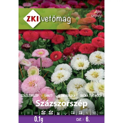 Sămânță ZKI categoria 6 Daisy