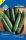 Vetomag Budapesti Garden seed category 3 - Black beauty Zucchini