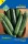 Seed Budapest Garden Seed 3. Kategorie - Schwarze Schönheit Zucchini
