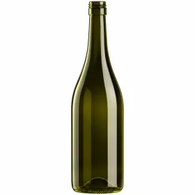   BP Burgundi Evoluzione uvag BVS 0.75 liter 295 mm (V 8032778) (9077712)
