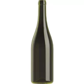   BP Burgundi Evoluzione uvag with stopper 0,75 litre 296 mm (V 8035647) (9080819)