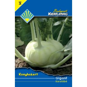 Seminte Vetomag Budapesti Garden categoria 3 - Roscov Urias