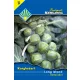 Seed Budapest Garden Seed 3. Kategorie - Long Island Bud