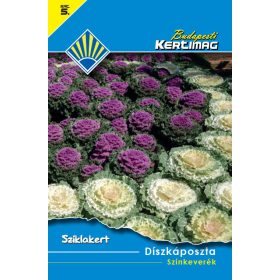   Semințe Budapesti Garden Seed Categoria 5 - Amestecul decorativ de culoare pentru varză