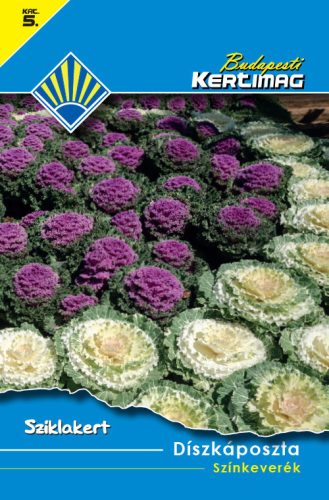 Semințe Budapesti Garden Seed Categoria 5 - Amestecul decorativ de culoare pentru varză