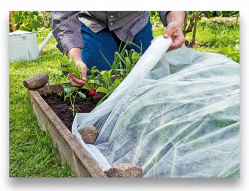 Veo folija 1,6x5m (17g/m2)