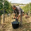 Găleată 20 litri Plastic cu mâner metalic Pob