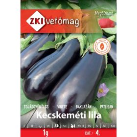 Sămânță ZKI categoria 2 Dovleac/ Portocală