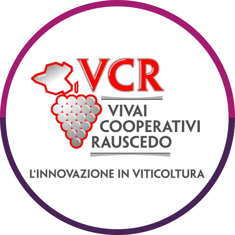 VCR Szőlőtermelő Szövetkezet Rauscedo