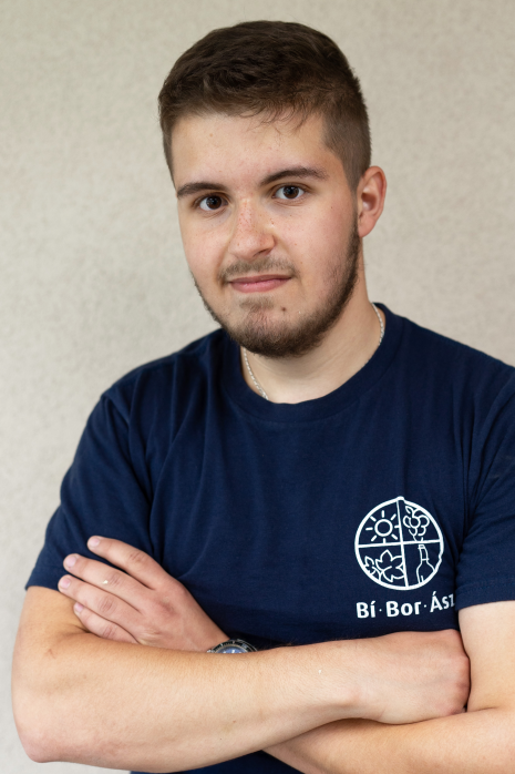 Horváth István